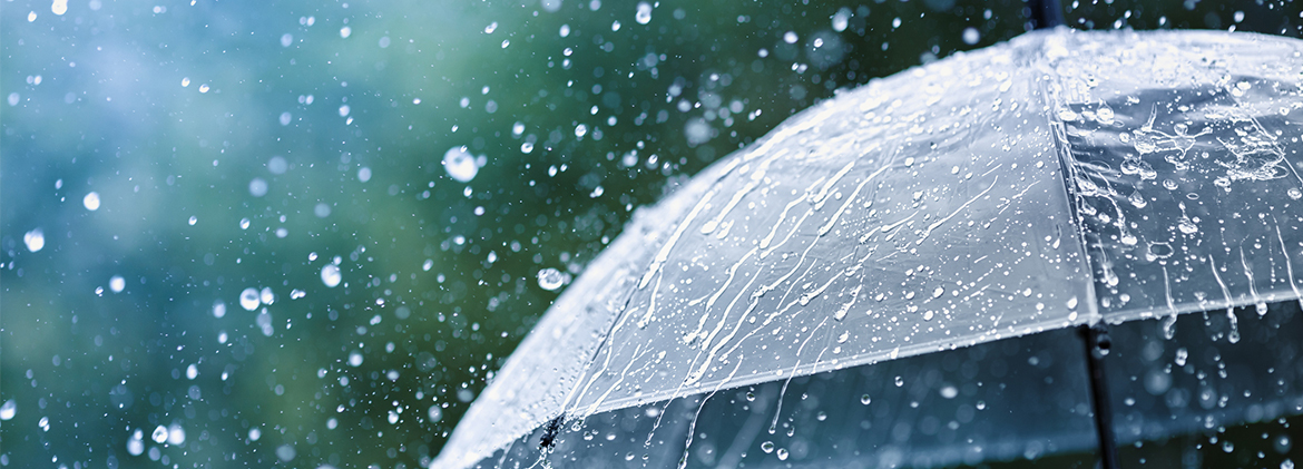 Florida Umbrella insurance coverage